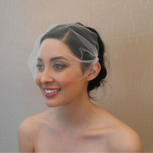 Elegant Ivory Birdcage Veil